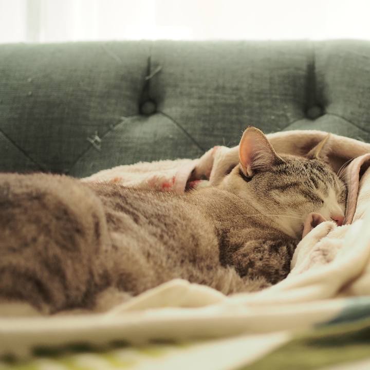 3f426774 02e7 41db aeea 84113a8e8b3d 1593747494857