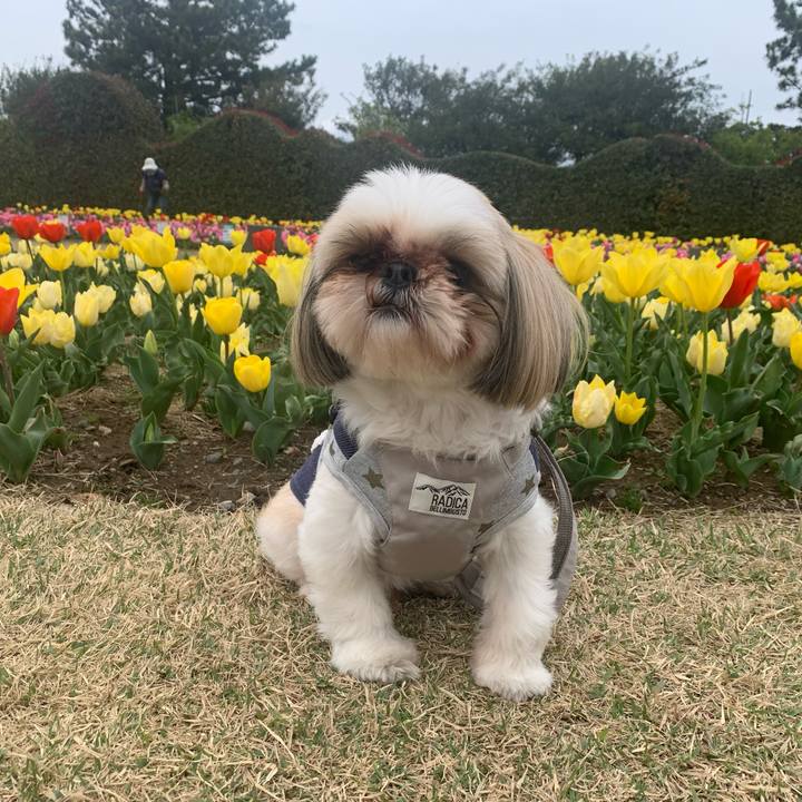 3f4269a9 8646 4df2 ae2b 97d22c159a78 1679403341654