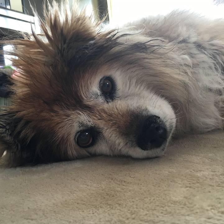 3f42745f 6ead 43ec ab6c 752e9f96e003 1567553654379