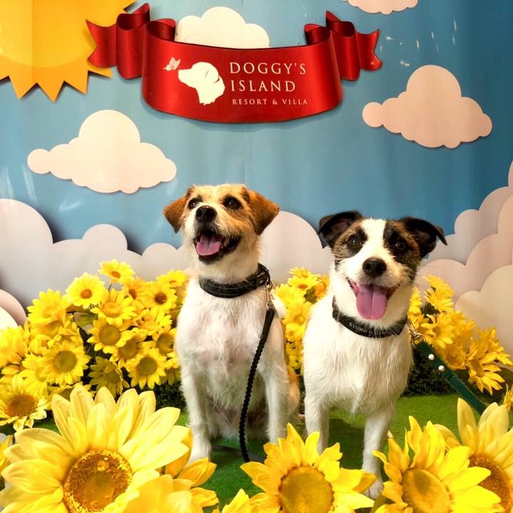 3f427d9a 62c1 4bfd 87fc 9d6a0767f54d 1565167307574