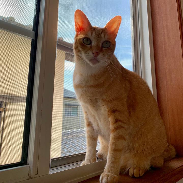 3f42848b 8820 4e09 944f 9f233f64a0f9 1565564455244