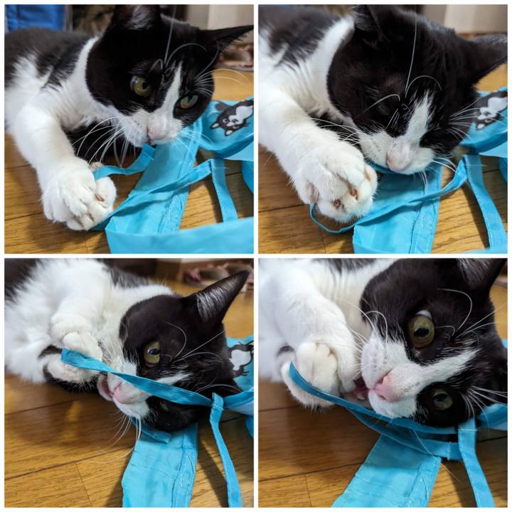 3f42a558 d013 4714 aae1 9f7104994ff0 1694245083175