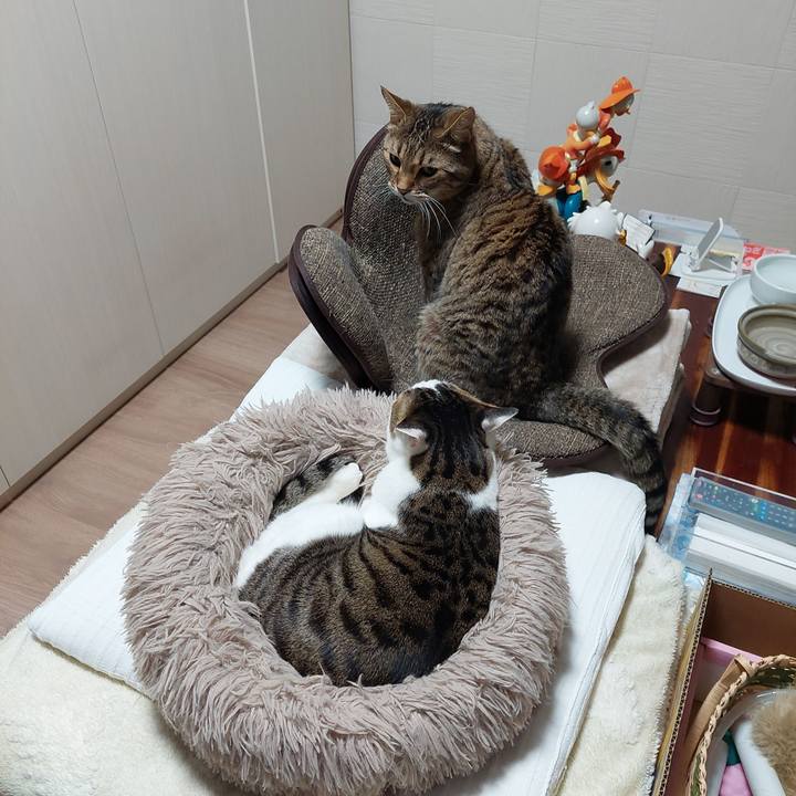 3f431028 c738 47d3 b2fc 86b98c6839db 1738878367390