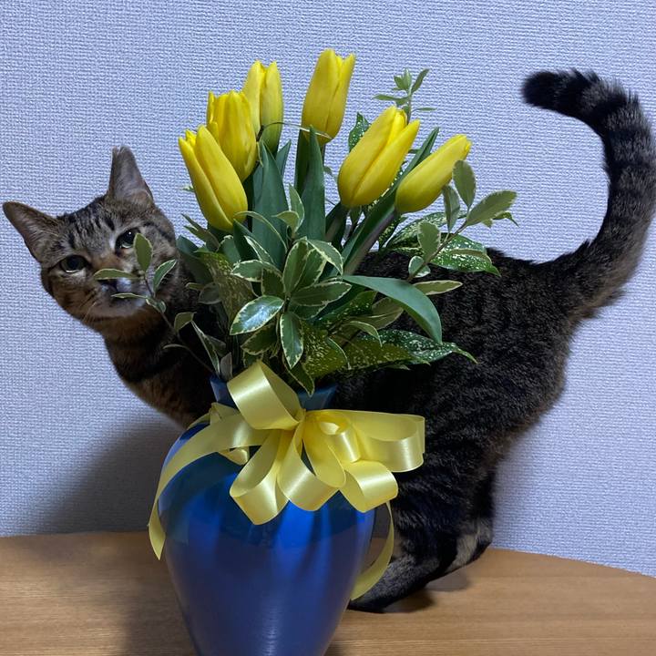 3f4312c2 e2f9 4206 a5de b4f3735cdadb 1645278615962