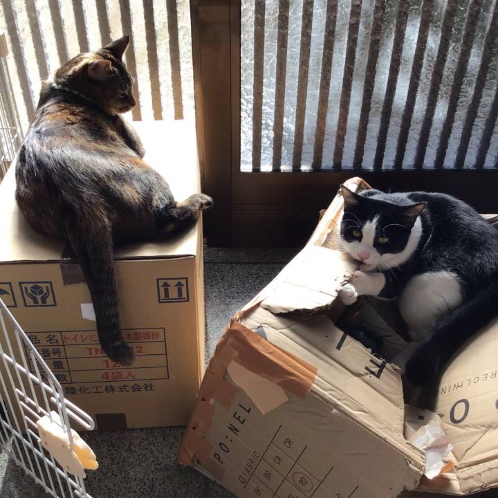 3f4337b7 027f 47d3 bfd8 fdfecdfe3a31 1641179254383