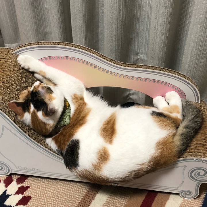 3f433ba6 74b6 413b 891a 7dc250e95c48 1594467513697