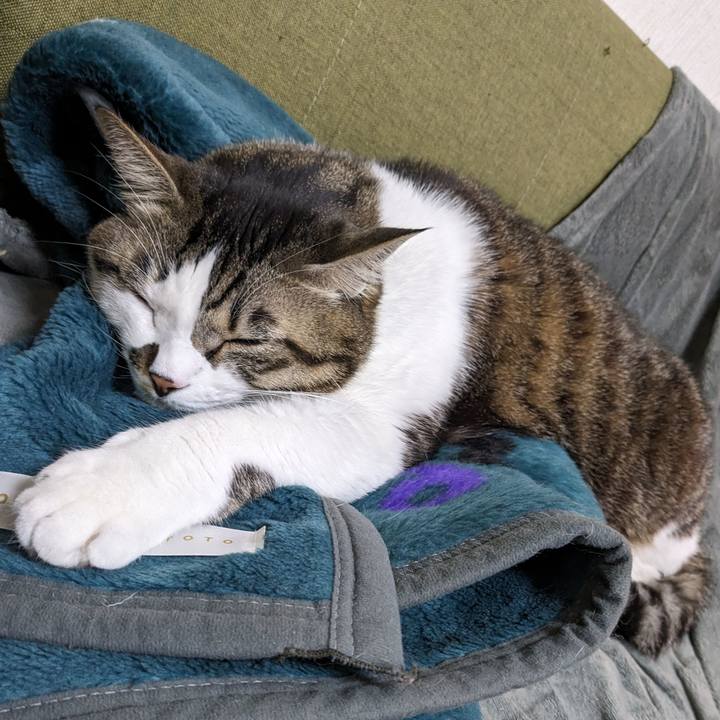 3f433e51 4441 4dc0 9f75 5aa1229f9fa0 1707186875177