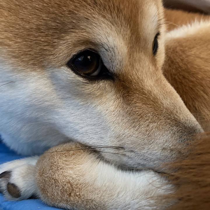 3f433e91 ddd1 4a3d 9303 e11c6b92d490 1643851541952