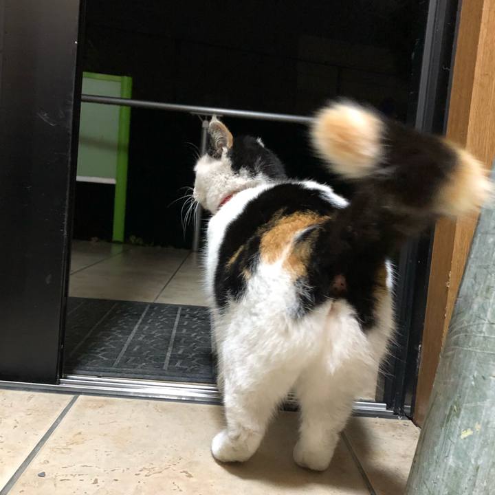 3f435540 b63d 421a a5e0 535c8bd69017 1609106730804