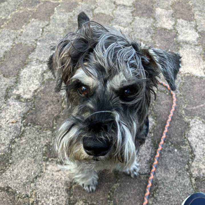 3f439a79 bd23 415e bf98 1aaffb9fa70f 1751168051802