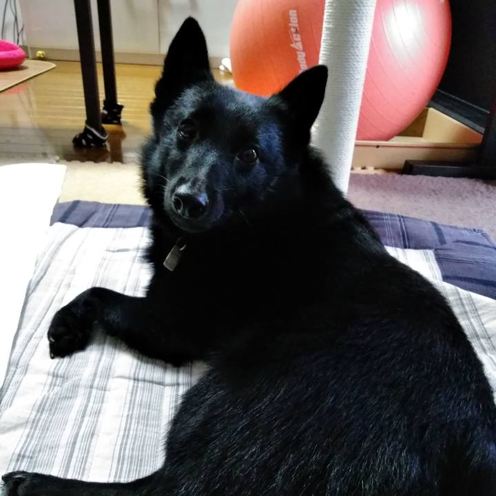 3f439bad 6223 40a9 9ccd 5a8311438439 1563867238606