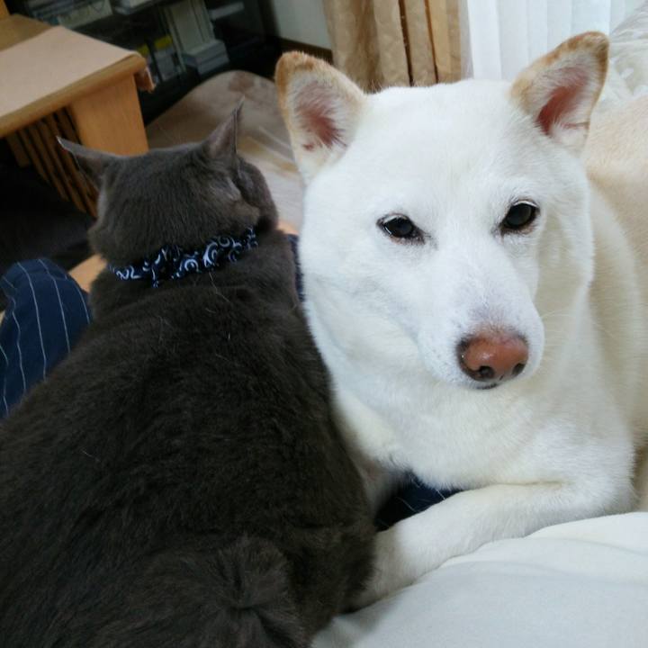 3f43a189 48e4 4ee9 abb5 412706717aea 1556155309409