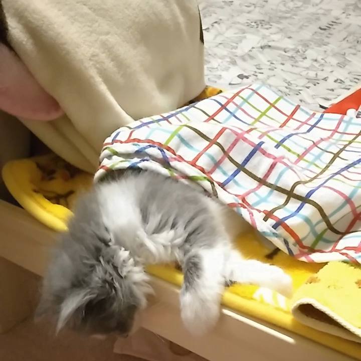 3f43c846 b153 4ddb 84a5 a44203a64f27 1559034843604