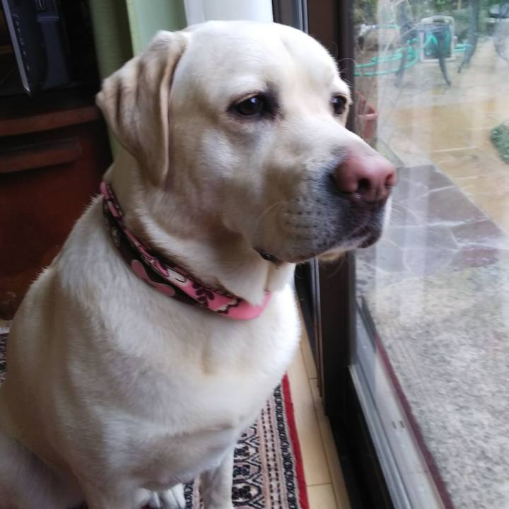 3f43d2d9 4818 4b0d bab9 eda7b3e2b3ca 1553136110982