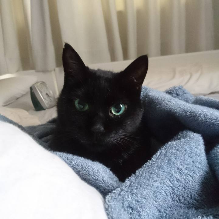 3f442b84 fb7a 42e1 b25f 3d1a3a411a4e 1532158845065