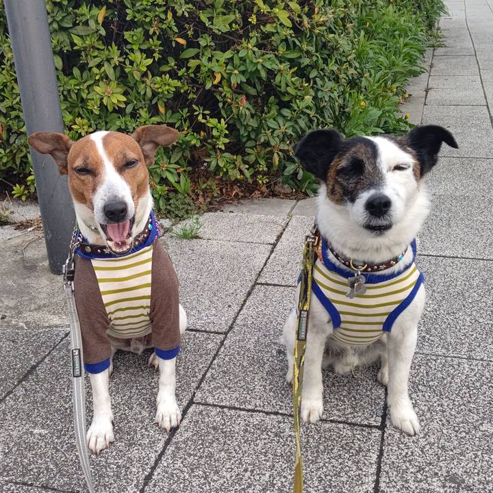 3f442f27 d366 494b 82ef 5f1693340bcf 1680216860438