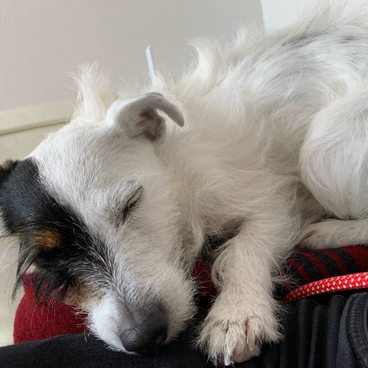 3f4432f6 fc2f 4bad aaa4 2272b7d78c46 1585716919030