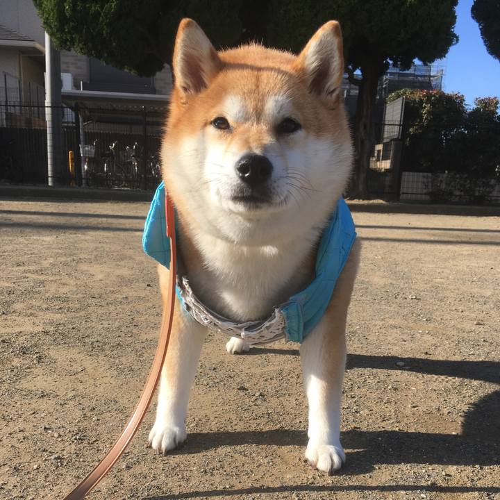 3f445c5c d96f 4a25 9fdf f5644c74c1cd 1546313814712