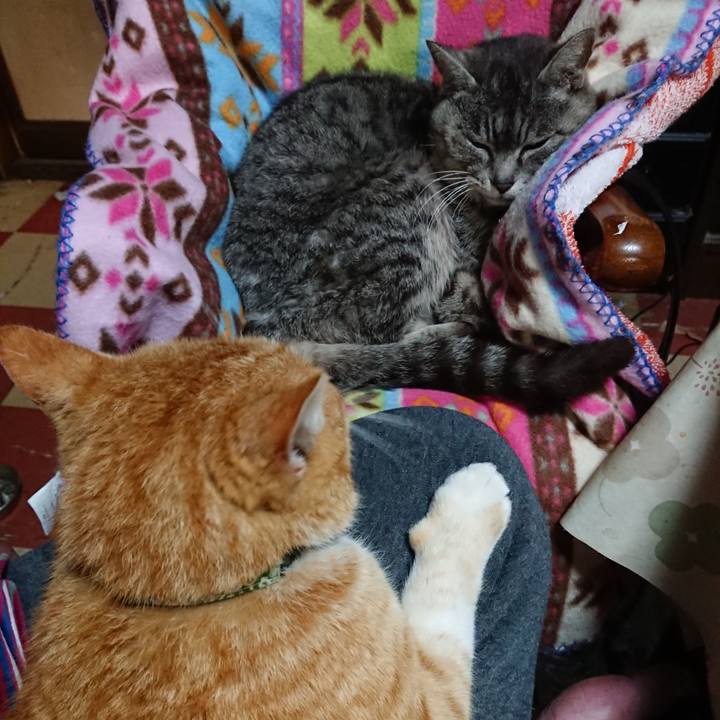 3f445ee3 2558 4303 b658 b8b0d4e8fc1a 1585309132273