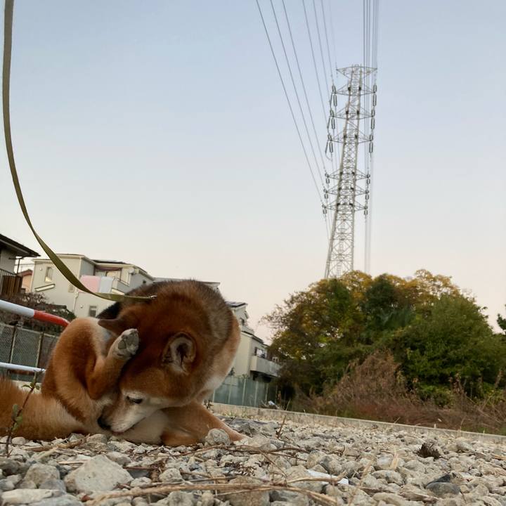 3f4464b7 6d3f 42a6 9f78 f891ed0098bd 1668242355877