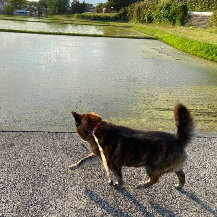 3f447193 0cbe 467b 94a0 7ba868578735 1589273505511