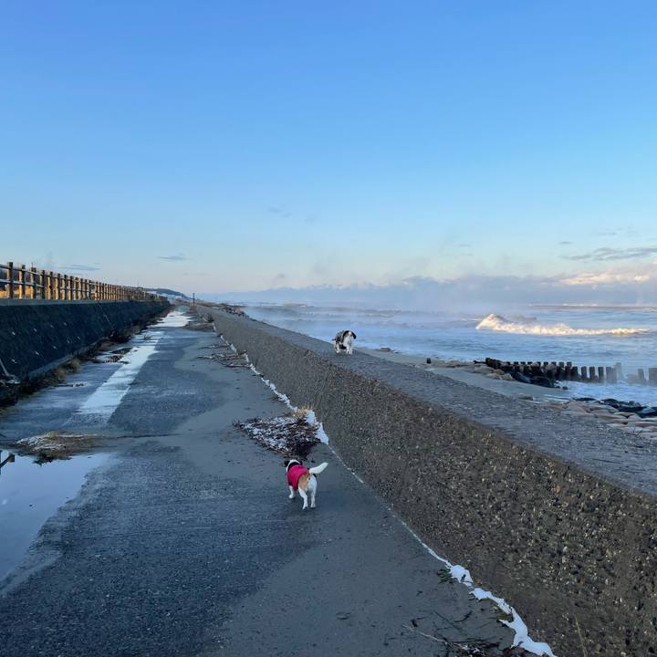 3f44827e 63cd 4b7e b435 ee69fc77c489 1671233765130