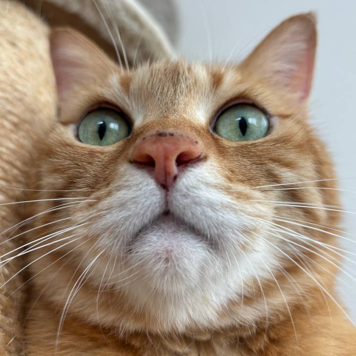 3f44873a b524 4667 aeff 916eb60620b8 1758680753113