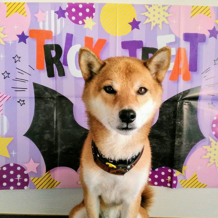 3f44f2d0 84ba 4f75 ad92 70db8b956e0b 1568873174059