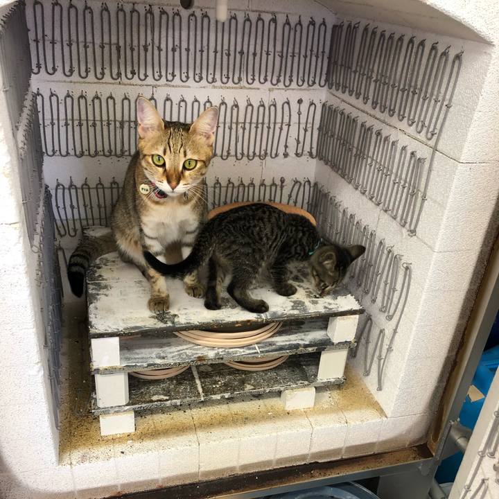 3f45335b 6043 4742 83fb 73f24b3ff654 1603159326371