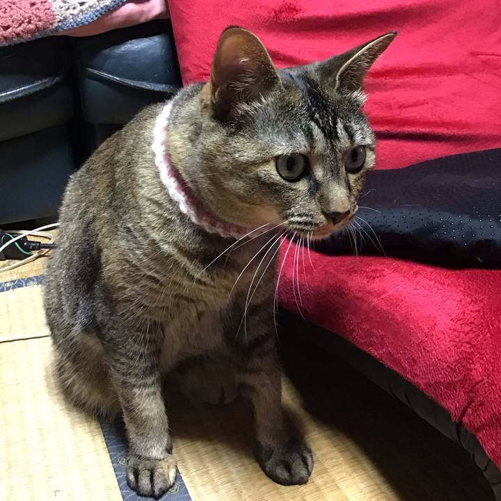 3f456bd1 7b96 4abd a1ff 768ac2da87b1 1689849594151