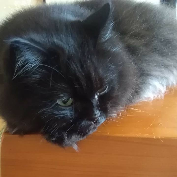 3f4584b8 7c99 46f9 98ad 23a79dd6c00a 1660707524467