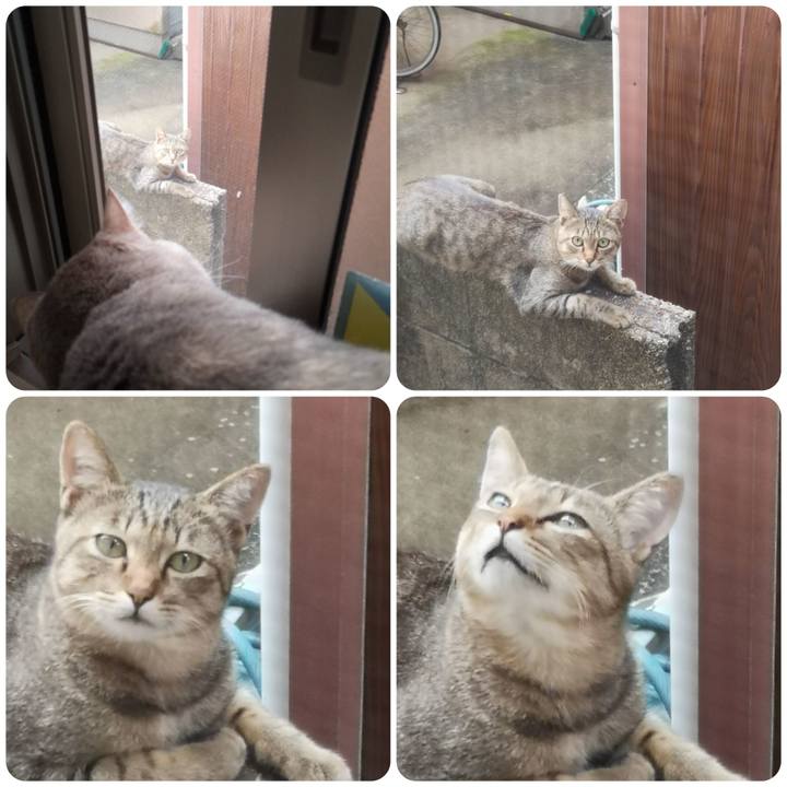 3f4584ba c906 4533 8e22 0125bcd23433 1568255230615