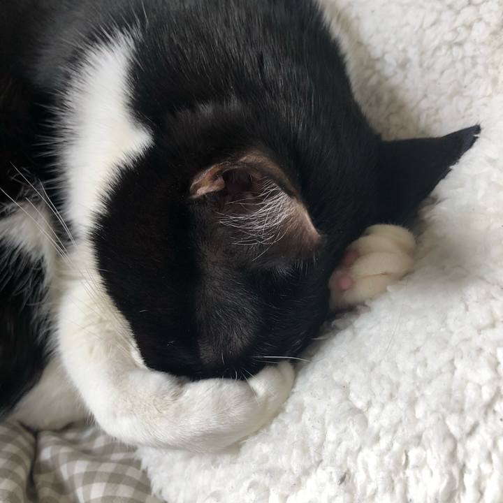 3f459081 a750 466a 9afd ca97c589f916 1579354851946