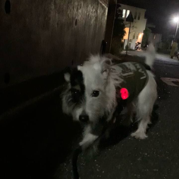 3f45a290 65e3 4414 be20 38d9e70a3dff 1700660535081