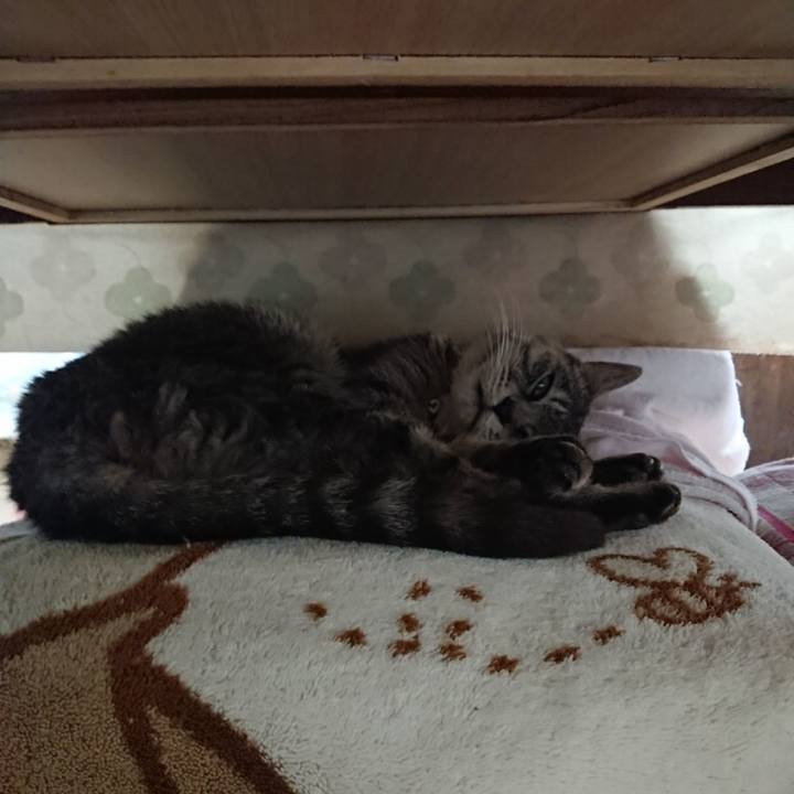 3f45ae4b c60e 48dd a265 a66e87303f33 1574479887000