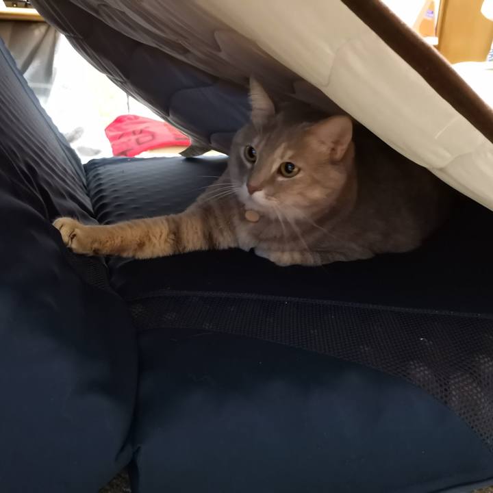 3f45b4fe 14d0 4d94 ba48 73f5970780eb 1607439199630