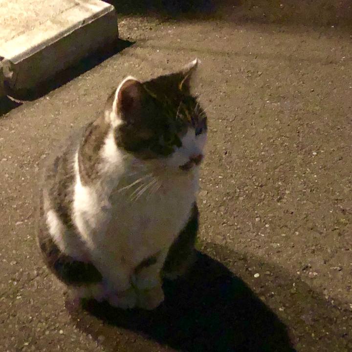 3f45f8db d57c 421f ae8f 79f8428c379d 1547196999978