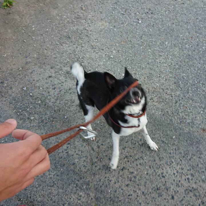 3f461094 8222 4a80 90db ce6891d11ce1 1591525977218