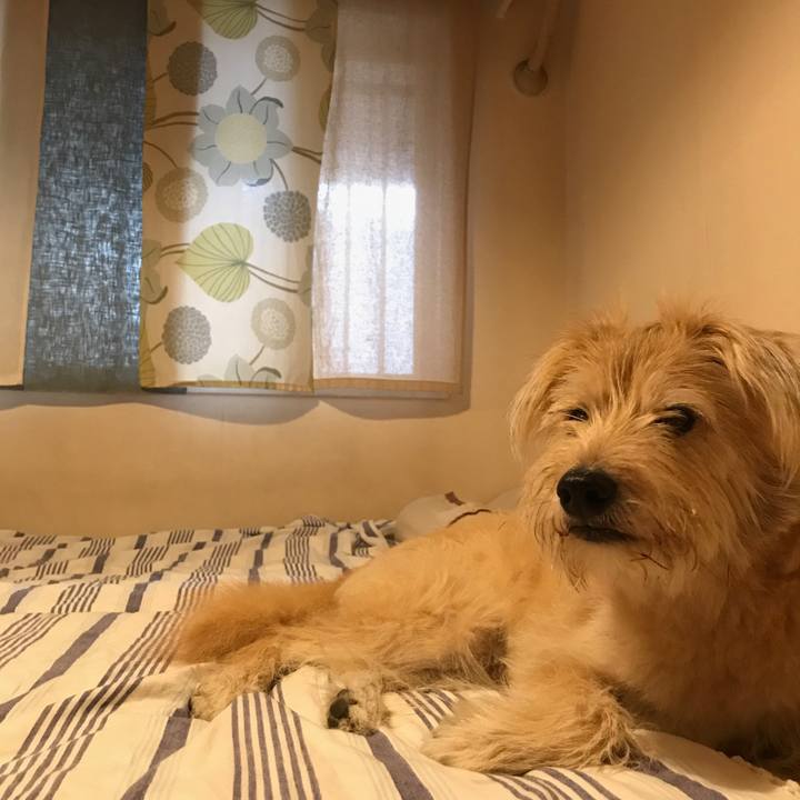 3f462f7a 5828 4a02 a992 d30596c9e448 1535424883254