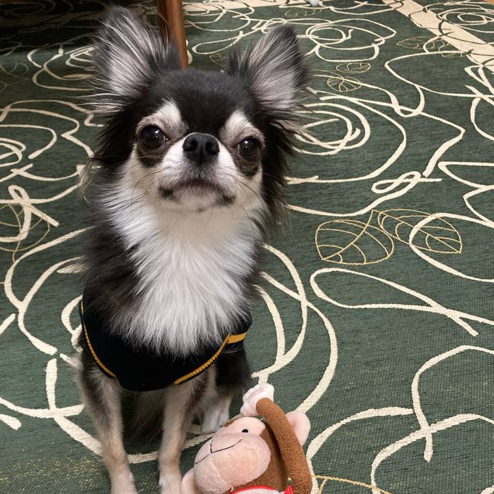 3f464be2 fa95 449d ab32 cca1e260fa6f 1643553464299