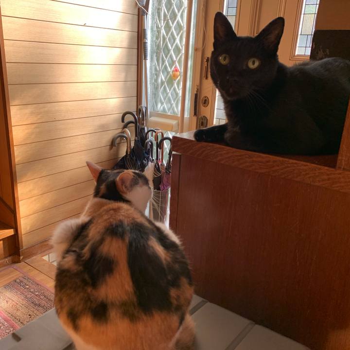 3f465397 57e9 4fa2 8b4d 2e1a49b76fb8 1567817141688