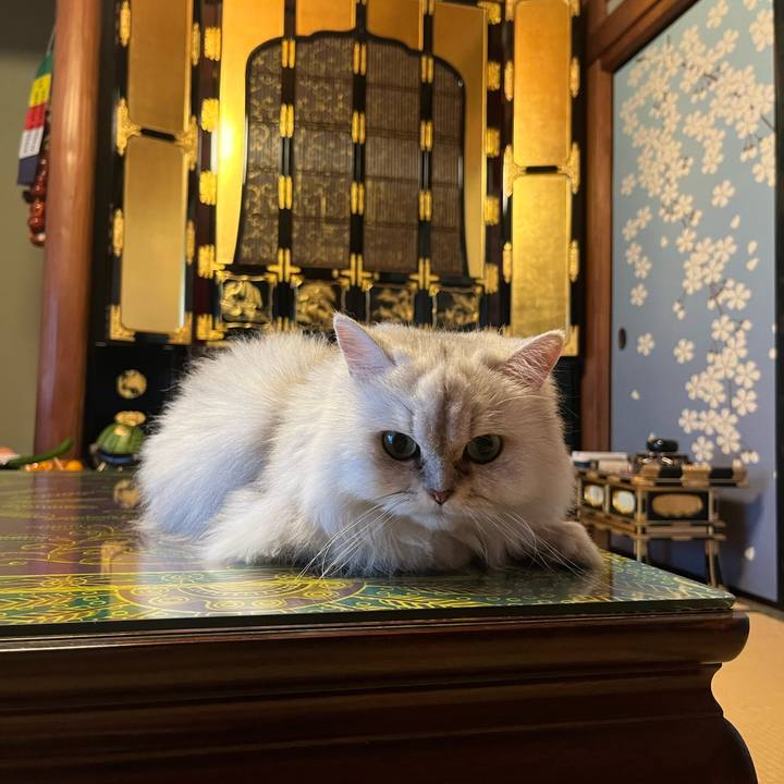 3f46799a e21b 4136 a0ee 0aae3b5babb1 1660381999415