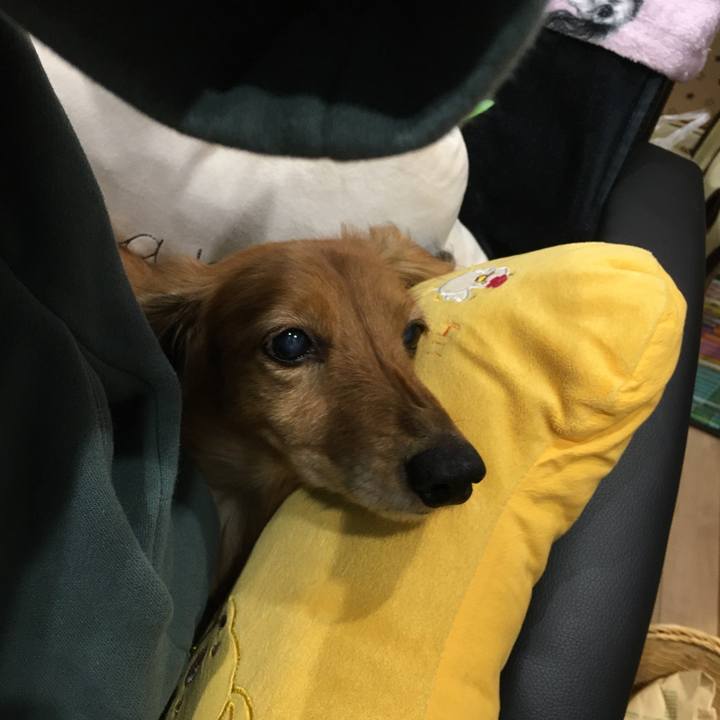 3f468b1d 85d9 41ce 8123 788412809a94 1589808664815