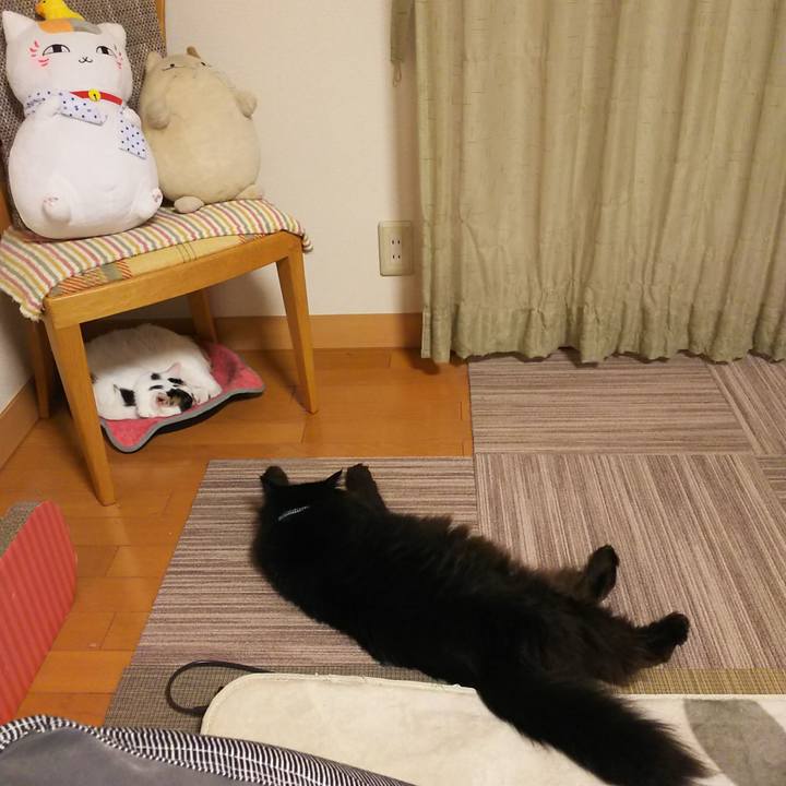 3f46b4c3 2bf3 4ef0 9201 5520d5b676b3 1558872709750