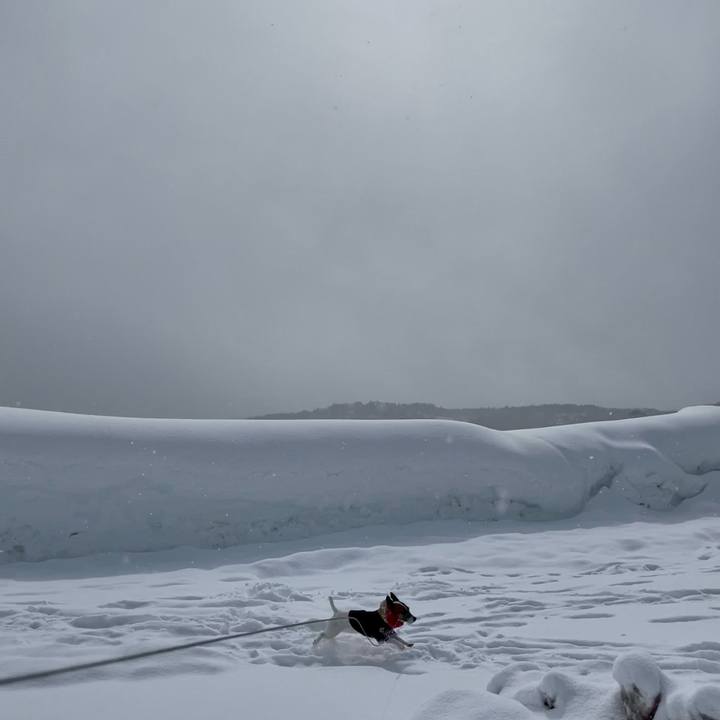 3f46c7ab 8bbd 4863 a25d ac1fee6b3beb 1645096289840