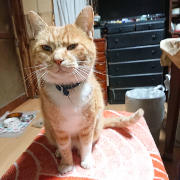 3f46ca14 8b34 459e bf93 343798f692d1 1604693670868