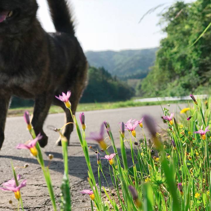 3f46db11 c316 4f1a 9fb7 0d983a5f804a 1527202489604