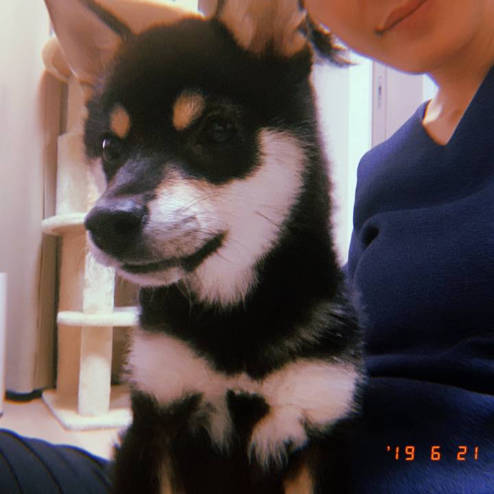 3f46e1a8 40dd 4490 9c69 27683422de3a 1561115822051