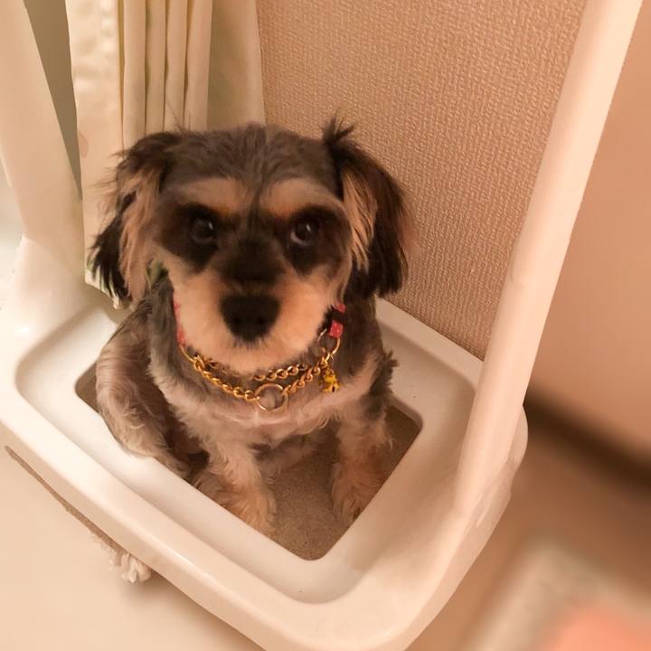 3f46e681 e312 40e4 93ea 09d73527ba97 1531476598444