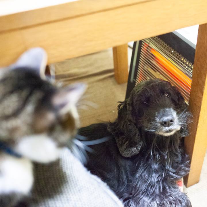 3f471fd7 c5ad 4aad 89d0 9e42be4ea941 1548852030687